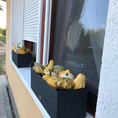Viharsarki Case de vacanță