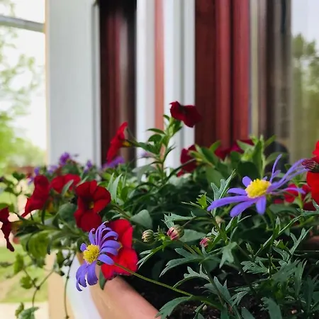 Holiday home Viharsarki Gyula